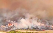 Bergama Kınık sınırında büyük yangın!