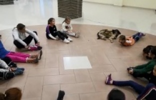 Çandarlı'da sporcu köpek izleyenleri şaşırttı