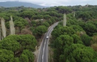Ayvalık: "Kozak’ta Yolu Değil, Yaşamı Savunuyoruz!"