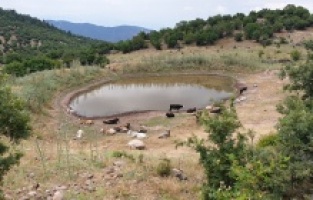 Bergama, Dikili ve Kınık'ta içme suyu göleti!