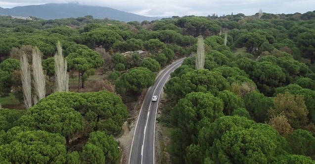 Ayvalık: quot;Kozakta Yolu Değil, Yaşamı Savunuyoruz!quot;