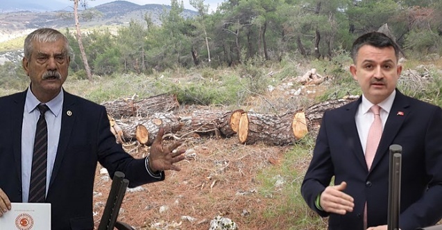 quot;Bakan Pakdemirli, Bergama ağaç katliamını itiraf etmiştir!quot;