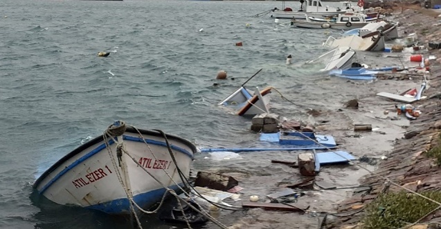 Ayvalık#039;ta Başkan el attı, Balıkçı Barınağında süreç hızlandı