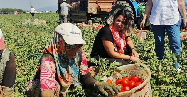 Bergama köylüsü, sermayenin işçisi değildir!