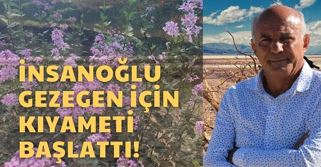 Leylaklar Eylül#039;de açtı, bilim insanı yorumladı; Yok oluş sürecini yaşıyoruz”