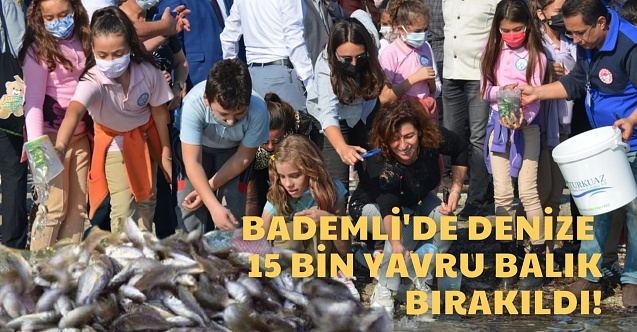 Dikili Bademli#39;de denize 15 bin yavru balık bırakıldı!